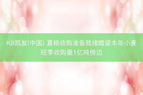 K8凯发(中国) 夏粮收购准备就绪瞻望本年小麦旺季收购量1亿吨傍边