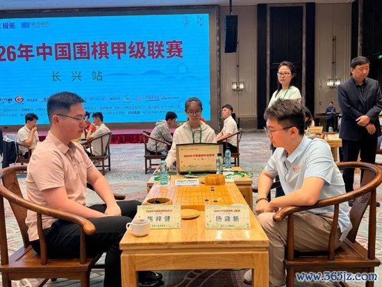 陈梓健vs杨革新