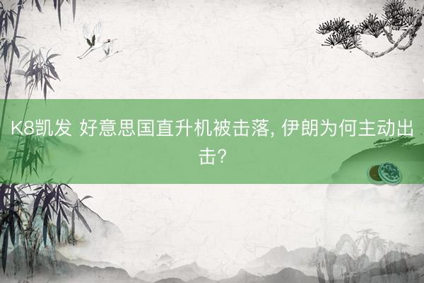 K8凯发 好意思国直升机被击落， 伊朗为何主动出击?