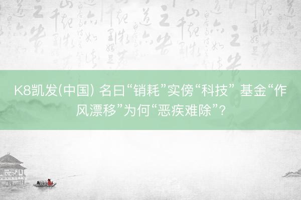 K8凯发(中国) 名曰“销耗”实傍“科技” 基金“作风漂移”为何“恶疾难除”?