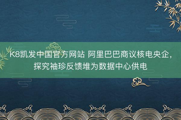 K8凯发中国官方网站 阿里巴巴商议核电央企，探究袖珍反馈堆为数据中心供电
